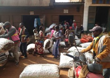 Lubero: à Kipese, des manutentionnaires exigent le respect des “Kg” reconnus à un sac de pommes de terre