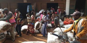 Lubero: à Kipese, des manutentionnaires exigent le respect des “Kg” reconnus à un sac de pommes de terre