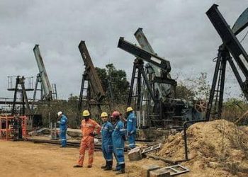 Nord-Kivu/Exploitation du pétrole dans le graben Albertine : au moins 50.000 familles riveraines du PNVi et son écosystème sous menace (BEIE)