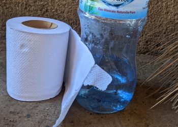 Santé : voici des précautions à prendre lorsque vous utilisez l’eau et le papier hygiénique aux toilettes
