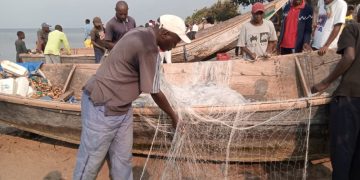 Lac Edouard : des activités de pêche suspendues à Kyavinyonge après l’arrestation de 6 pirogues par des éco-gardes de l’ICCN