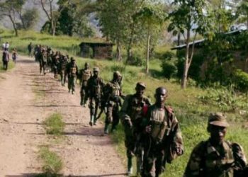 Beni : la Nouvelle société civile alerte sur « la reconstitution des positions des ADF » dans le secteur de Rwenzori et la chefferie des Bashu