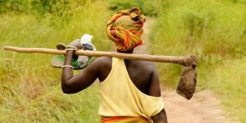 Rutshuru : des champs inaccessibles dans le domaine de Bweza suite aux enlèvements des civils