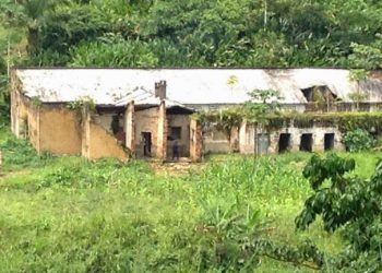 Nord-Kivu : des conditions de détention dégradantes à la prison centrale de Walikale