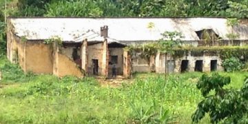 Nord-Kivu : des conditions de détention dégradantes à la prison centrale de Walikale