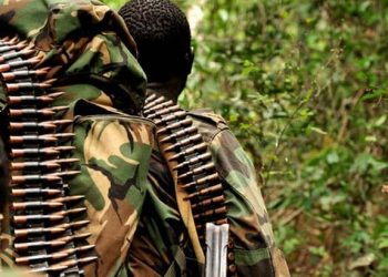 Beni : au moins 9 civils tués dans une nouvelle incursion des ADF près de Museya