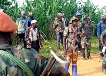 Ituri : la milice CODECO signataire du protocole d’accord pour la paix mène une nouvelle attaque contre les civils à Djugu