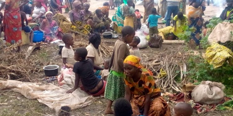 Nord-Kivu/Guerre du M23 : plusieurs déplacés en besoin d’assistance humanitaire à Rutshuru