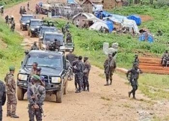 Beni : les FARDC libèrent trois otages des ADF