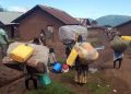 Rutshuru : des combats entre FARDC et M23/RDF à la base d’un département massif des populations à Kibirizi