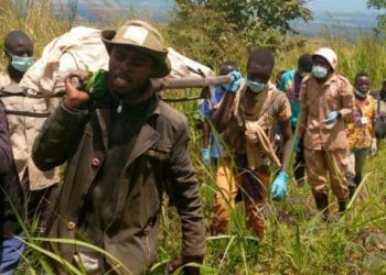 Beni : les deux civils pris en otages par les ADF à Kokola retrouvés morts