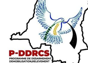 Nord-Kivu : des agents du P-DDRCS antenne de Butembo-Lubero en grève