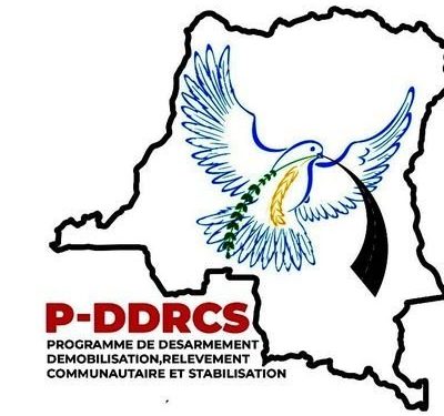 Nord-Kivu : des agents du P-DDRCS antenne de Butembo-Lubero en grève