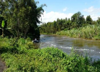 Rutshuru/Saison de pluie : plus de 30 agriculteurs noyés dans la rivière Rwindi depuis début septembre