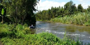 Rutshuru/Saison de pluie : plus de 30 agriculteurs noyés dans la rivière Rwindi depuis début septembre