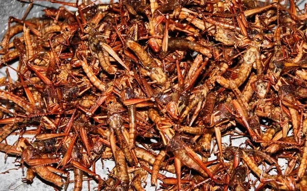 Butembo : la vente périodique des sauterelles reprend avec engouement (Constat)