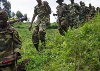 Guerre d’agression rwandaise : l’option militaire est la seule qui nous reste face à l’avancée des rebelles (NSCC Nyiragongo)