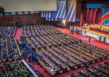 Sessions extra. Sénat-Ass. Nat : “Les députés et sénateurs doivent aussi dire au Président qu’ils sont prêts à renoncer à une partie de leur salaire pour soutenir l’armée” (LUCHA)