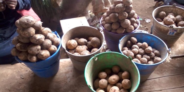 Butembo : impact de l’occupation de Kipese sur le marché de la pomme de terre