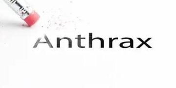 Nord-Kivu : 6 cas suspects d’anthrax signalés à Lubero