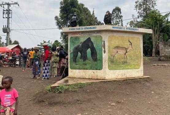 Rutshuru : situation confuse à Bugomba au lendemain de l’assassinat de 4 habitants