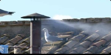 Vatican : enfin, le 267ème pape est élu