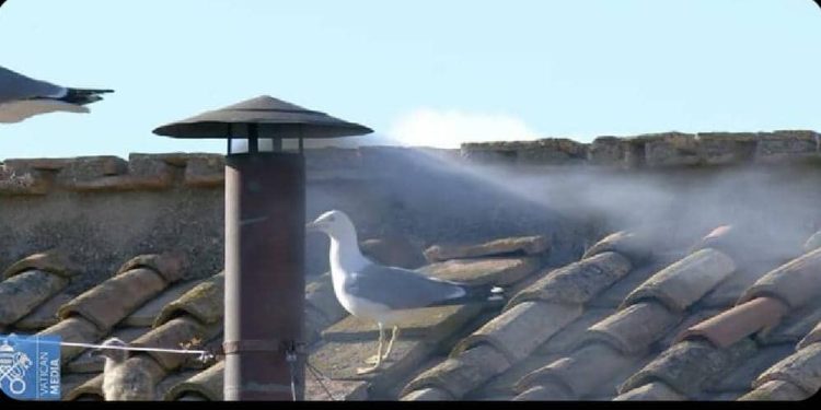 Vatican : enfin, le 267ème pape est élu