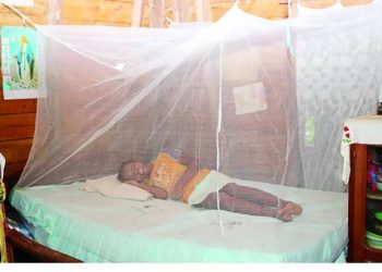 Rutshuru : hausse sensible des cas de paludisme en zone de santé de Binza