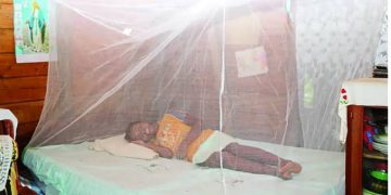 Rutshuru : hausse sensible des cas de paludisme en zone de santé de Binza