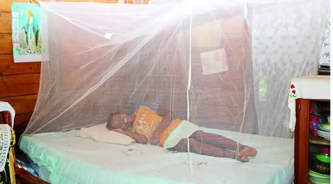 Rutshuru : hausse sensible des cas de paludisme en zone de santé de Binza