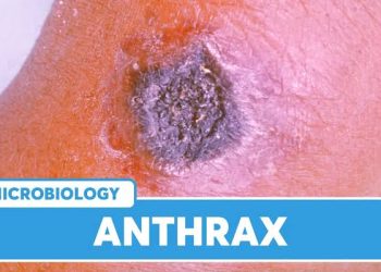 Lubero : la zone de santé intensifie la sensibilisation sur les signes et symptômes de l’anthrax après la guérison de cas suspects