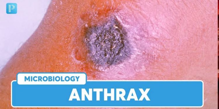 Lubero : la zone de santé intensifie la sensibilisation sur les signes et symptômes de l’anthrax après la guérison de cas suspects