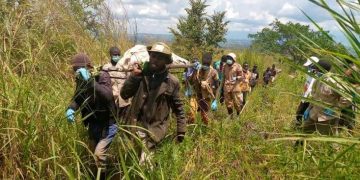Beni : un civil tué par des bandits armés à Bashu