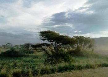 Rutshuru : deux personnes, dont un combattant du M23, tuées sur l’axe Rwindi-Kibirizi