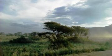 Rutshuru : deux personnes, dont un combattant du M23, tuées sur l’axe Rwindi-Kibirizi