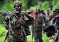 Nord-Kivu : de nouveaux combats signalés à Rutshuru entre l’AFC-M23 et les Wazalendo
