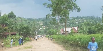 Nord-kivu : un mobilisateur des recettes de l’AFC-M23 tué par balles à Masisi