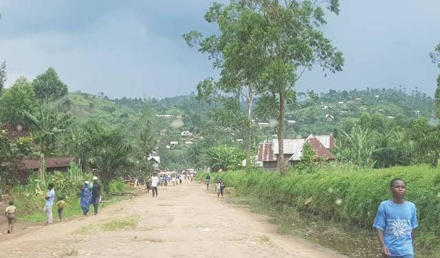 Nord-kivu : un mobilisateur des recettes de l’AFC-M23 tué par balles à Masisi