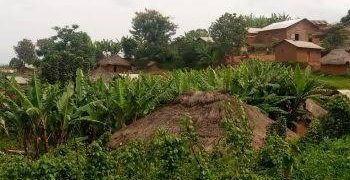 Rutshuru : au moins dix morts dans des attaques attribuées au M23 à Bambo