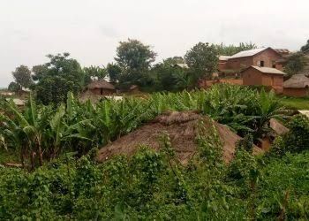 Rutshuru : au moins dix morts dans des attaques attribuées au M23 à Bambo