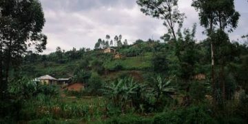 Nord-Kivu : à Lubero, un jeune homme tué par balles après avoir décapité un élément du M23 à la machette