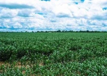 Rutshuru : un civil enlevé par des bandits armés à Kakono