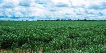 Rutshuru : un civil enlevé par des bandits armés à Kakono