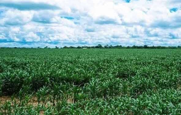 Rutshuru : un civil enlevé par des bandits armés à Kakono