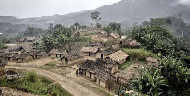 Walikale : la précarité dans les milieux de refuge pousse des déplacés à rentrer dans leurs villages à Kisimba
