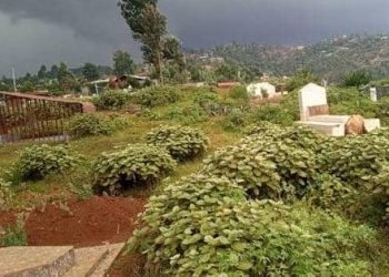 Butembo : vers le recensement des cimetières privés et familiaux