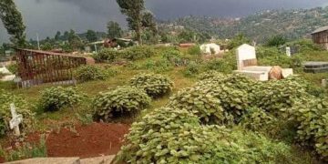 Butembo : vers le recensement des cimetières privés et familiaux