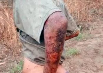 Kinshasa : des miliciens Mobondo temporairement cantonnés par la RAD accusés d’exactions contre les civils