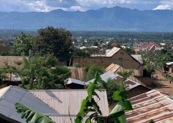 Rutshuru : accalmie précaire à Kiwanja après une matinée secouée par de fortes détonations d’armes