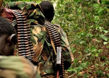 Attaque des ADF à Irumu : un activiste des droits humains encourage à la résistance